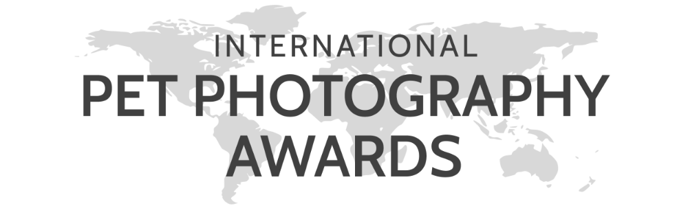 IPPA Awards