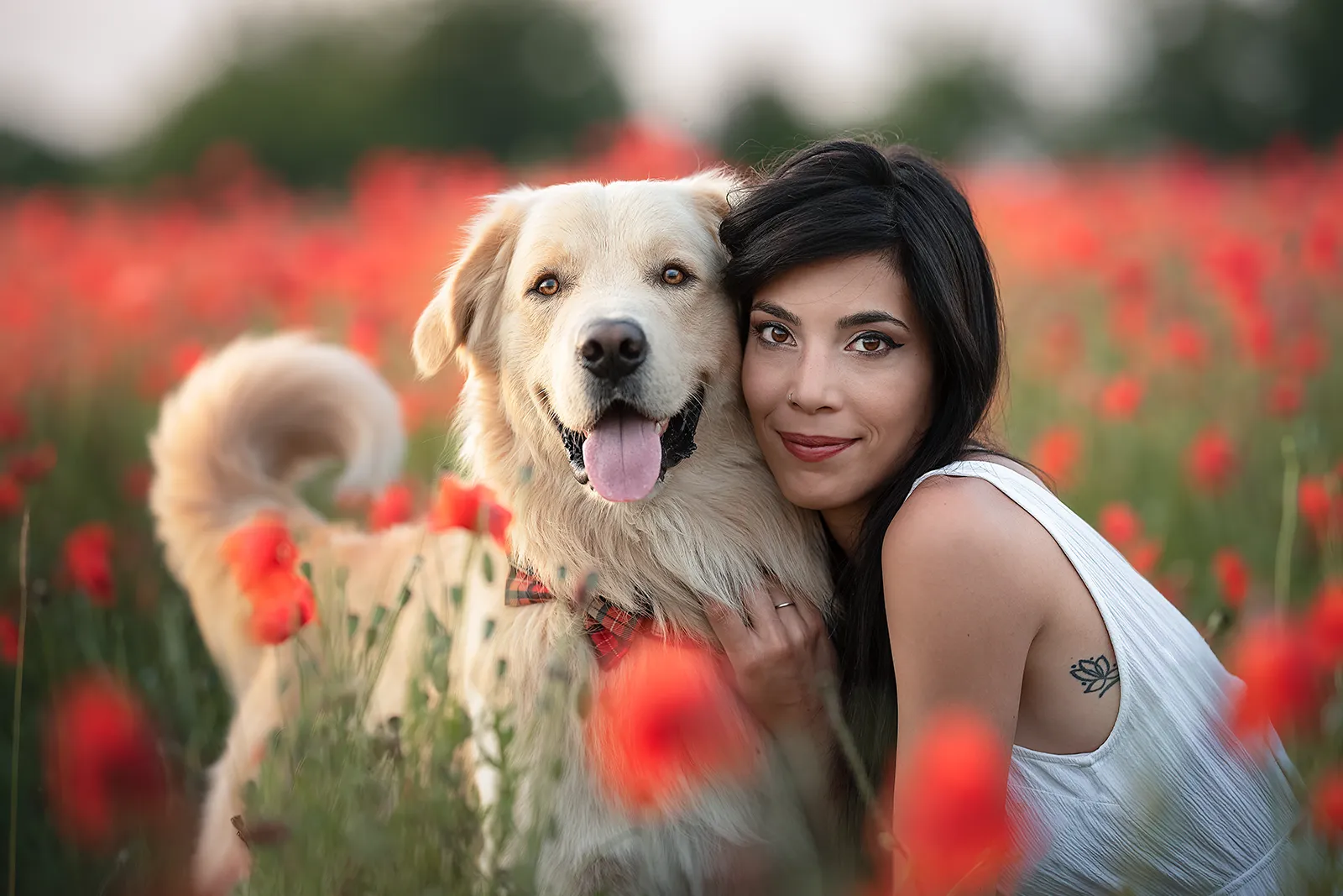 Servizio fotografico per cani: ragazza abbracciata al suo Golden Retriever in un campo di papaveri