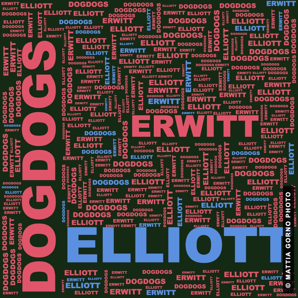 Elliott Erwitt, i cani nelle foto