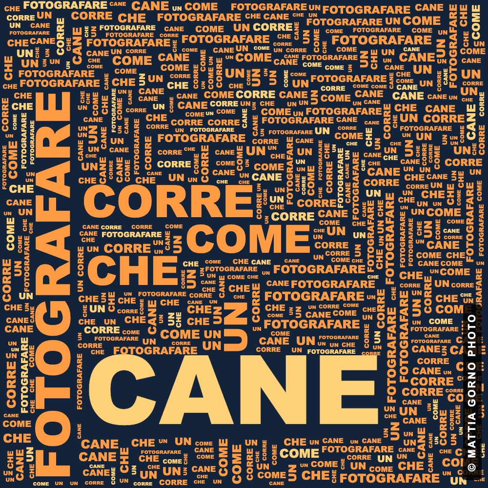 Come fotografare un cane che corre