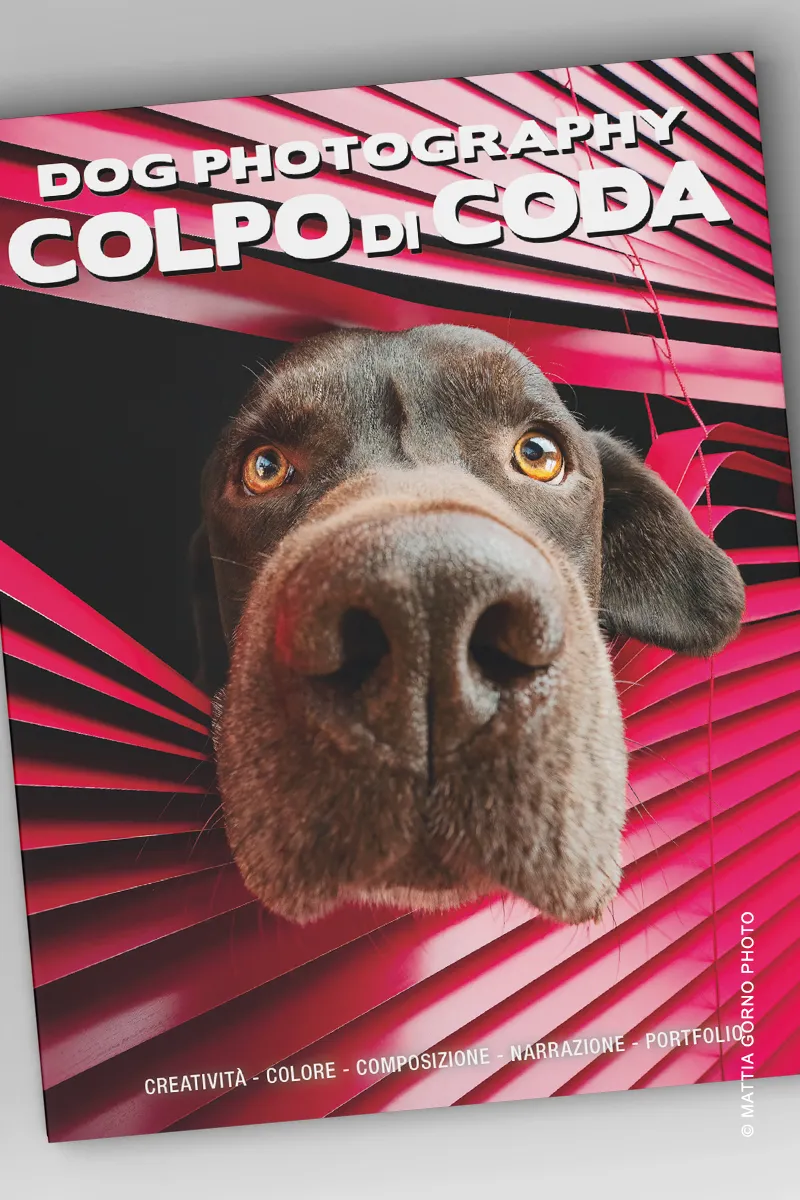 La copertina del libro Dog Photography Colpo di Coda inquadrata dall'alto